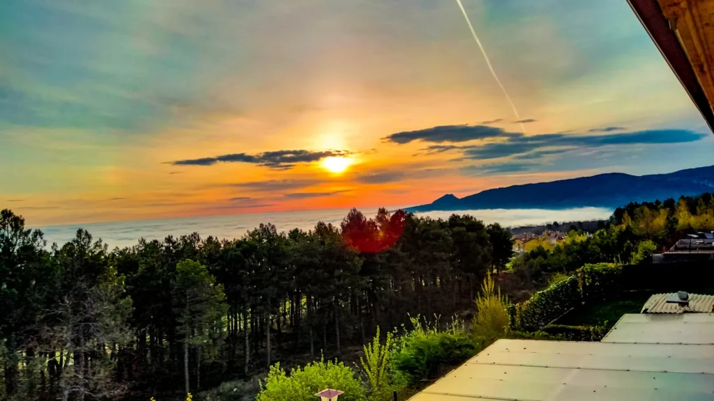 copia de web tutestamento.cl (2)