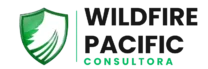 bocetos logo wild pacific consultora (3)