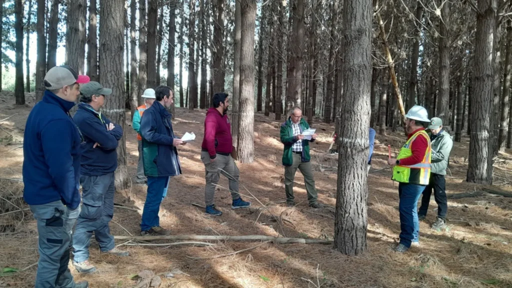 wildfire ciclo grd (1) wildfire ciclo grd (1)